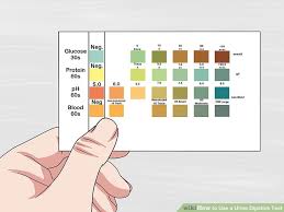 how to use a urine dipstick test 12 steps with pictures