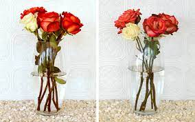 6 Useful Tips To Prolong The Life Of Cut Roses And Enjoy Their Fragrance  Much Longer | Gardenabc.net | Your Garden Tips & Ideas