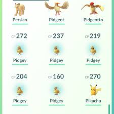 I Read That Ditto Is Often Disguised As Pidgey So I Caught