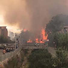 In fiamme la riserva della pineta dannunziana. Skdefgtu4kbxcm