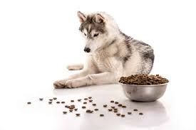 Most husky puppies can be successfully weaned somewhere between the ages of 3 and 5 weeks—which is when they'll begin looking for more 'solid' food. Best Dog Food For Huskies And Puppies In 2021 Goodpuppyfood