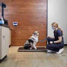 Maybe you would like to learn more about one of these? Petco Hourly Salaries Glassdoor