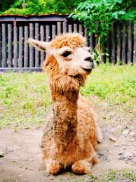 Pin By Noemi Buttinger On Spiritual Art Sitting Poses Spiritual Art Drawings