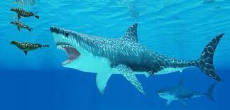 megalodon kopekbaligin boyu hesaplandi haberi arkeolojik haber arkeoloji haber arkeoloji haberleri