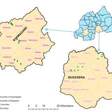 Image result for Garcinia buchananii