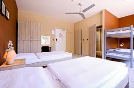 Baseball, jungle and space themes in plus! Family Room Plus Hostels Official Website
