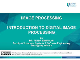 Digital Image Processing By Jayaraman S Veerakumar T Esakkirajan S Peatix
