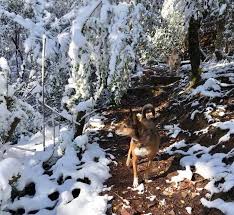 Some of milo at mountain park's amenities include in unit laundry, patio / balcony, and granite counters. Red Mountain Park Re Opens Mine 10 And Photos Of A Winter Wonderland Bham Now