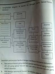 Check spelling or type a new query. Buatlah Kunci Determinasi Dengan Melihat Diagram Dikotom Diatas Tolong Dijawab Yh Brainly Co Id