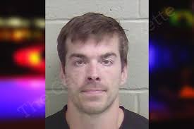 Alan Thurston — Wayne County Jail Bookings