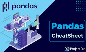 Image result for Pandas cheatsheet