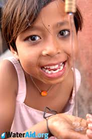 Model microbial communities for wastewater treatment. Professor Bill Sloan