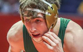 Lutheran School Association's VerHeecke twins among Decatur-area wrestlers  headed to state