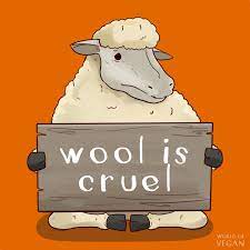 8 Reasons Why Wool Isn T As Innocent As You Think Vegan Animals Wool Sheep