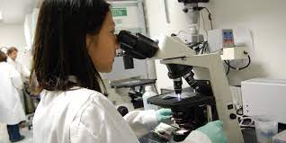 Once inside the lymph nodes, the virus typically invades lymphocytes (a type of white blood cell) for one or two days, creating many copies of itself. Penn Vet Areas Of Research