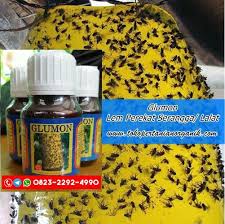 Raya palur no.99, dagen, kec. Distributor Obat Pertanian Semarang Grosirit