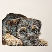 Dog Pencil Portraits Commission Yours Here Dog Portraits Dog Art Dog Paintings