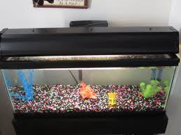 The basic design principle entails building two box frames that are connected by four legs. Diy Aquarium Hood Instructables