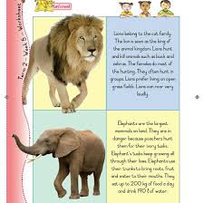 Pin By Rumbidzai On Teaching Stuff In 2020 Cat Family Animal Kingdom Animals