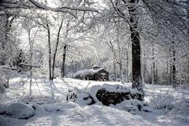 How To Maintain Your Pergola During A New England Winter New England Outdoor Sheds Garages Gazebos Pergolas Pavilions Browse through a lot of free winter pictures in high resolution. new england winter