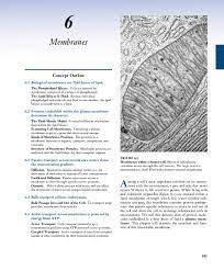 윤서인 백남기 / ë‚⃜ë¥¼ ìžšì§€ë§ ì•„ìš ìœ¤ì„œì ¸ ë°±ë‚¨ê¸° ì¡°ë. Pdf Membranes Magendira Mani Vinayagam Academia Edu