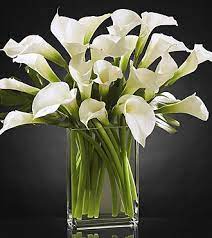 Flowers Online Ftd Com Send Flowers Plants Gifts Same Day Flower Delivery Calla Lily Home Flower Arrangements Calla Lily Bouquet