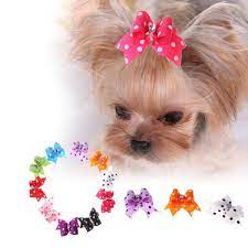 Dog Cat 10 Piece Bow Set Pawzoutlet Dog Hair Bows Pet Fashion Dog Apparel Dog Bows