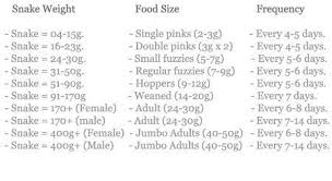 46 Up To Date Snake Food Size Chart