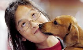 Daily published photos: Oct. 25, 2008