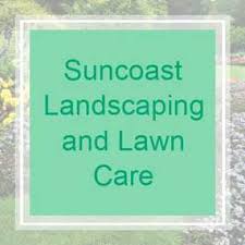 You've never met a local lawn treatment team like this (unless you are already a happy client!). 16 Best Lawn Care Mowing Services In New Port Richey Fl