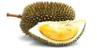 Rahsia durian berbuah pokok rendah cara menanam durian agar cepat besar. 10 Cara Mengolah Durian Jadi Makin Lezat Dan Menggiurkan Merdeka Com