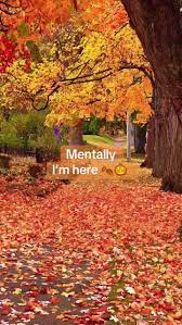 Embrace Fall Season: Autumn Leaves and Spooky Vibes | TikTok