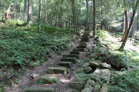 A black forest ham should be roasted about 8 to 10 minutes per po black forest ham is sold fully cooked. Cook Forest State Park Cooksburg 2021 All You Need To Know Before You Go With Photos Tripadvisor
