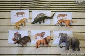 Free Zoo Animals Matching Cards Zoo Animal Activities Zoo Animals Preschool Activities Zoo Animals Preschool