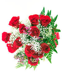 Results for san diego florists. Wholesale Flowers San Diego Ca Change Comin