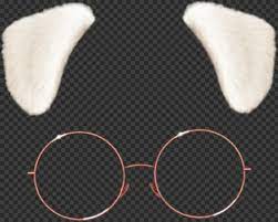 Snapchat White Cute Dog Puppy Snow Filter Glasses Png Image Cute Dogs Dogs And Puppies Puppies