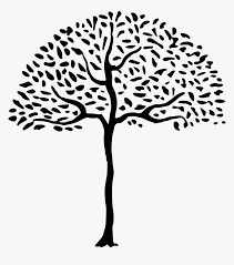 Jul 31, 2019 · 6. Simple Tree Simple Elements Of Art Drawing Hd Png Download Transparent Png Image Pngitem