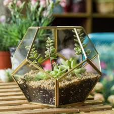 26 Absolutely Perfect Thank You Gifts For Every Situation Geometric Terrarium Plant Decor Indoor Plant Decor