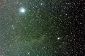 びっけパパのブログ - ココログ