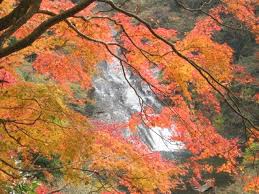 千葉県の紅葉見ごろスポット人気ランキング 2020 日本気象協会 Tenki Jp