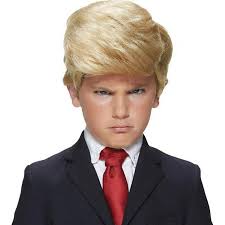Donald trump wig for sale store