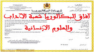 حصريا لجميع التلاميذ إليكم الآفاق الدراسية لحاملي شهادة البكالوريا جميع الشعب والمسالك 2019 Dimajo Education Nationale Recherche Scientifique Baccalaureat