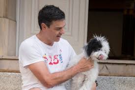 Pm pedro sánchez says they will start slowly winding down the lockdown in the second half of may. The Long Journey Of The President S Faithful Photographer Teller Report