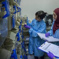 Saintis dan penyelidik di pusat penyelidikan bioteknologi, institut penyelidikan dan kemajuan pertanian malaysia (mardi), dr kamariah long. Biotechnology Research Institute Ums Posts Facebook