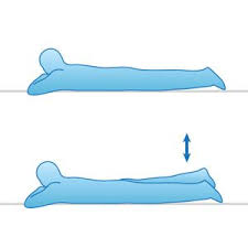 Pin On Exercise