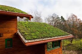 Eco roofs, or turf or green roofs as they're sometimes called, are ones which have surrounding impervious rooftops are the major source of water runoff contributing to the small flood events. Eco Friendly Living Why Are Green Roofs Beneficial To The Community Roofco Winnipeg Roofing Contractor Exterior Renovation Company