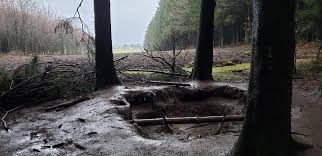 Reserve your spot today and pay when you're ready for. Dan Lamothe Ar Twitter In The Woods Of Bastogne Belgium Today For The 75th Anniversary Of The Battle Of The Bulge Bulge75