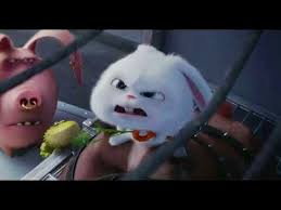 Pin By Zara On Photo Cute In 2020 Boss Baby Youtube Animals