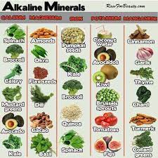 1/4 cup of your choice of cilantro, parsley, arugula, basil, and/or onion. Alkaline Minerals Alkaline Foods Alkaline Diet Recipes Alkaline Diet