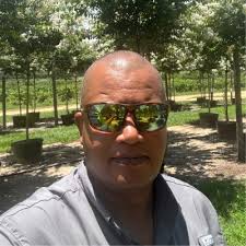 Grab your buckets: Fresh from Florida blueberries are finally